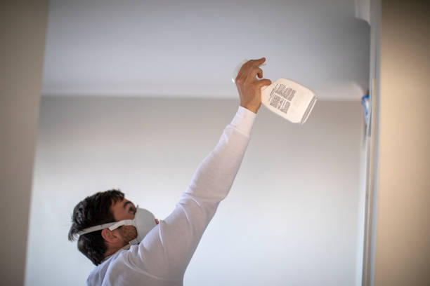Best Mold Remediation for Schools in East Pasadena, CA